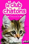 Club des chatons 5 chaussette